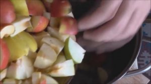 Сытное блюдо из кролика: «Кролик тушеный, с овощами и фруктами»