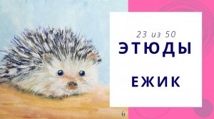 23. Рисуем ежика гуашью. Серия видео «50 этюдов»