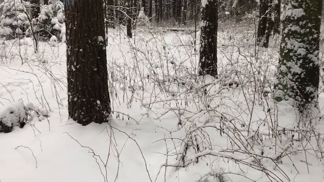 Выехали компанией на природу, подруги долго будут помнить этот отдых. Любовные истории из жизни.