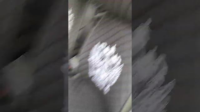 Лён 3D с вышивкой герба РФ смотреть онлайн