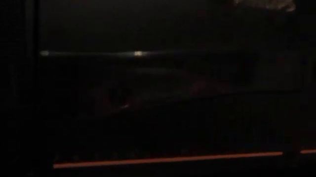 Шашлыки на даче, второе января. смотреть онлайн