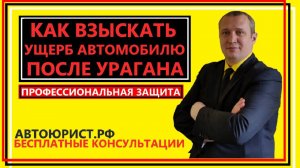 Как взыскать ущерб автомобилю после урагана