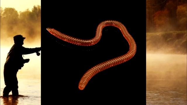 ЗАПРЕТИТЕ эту КИТАЙСКУЮ СНАСТЬ ! топ товаров для РЫБАЛКИ!! смотреть онлайн