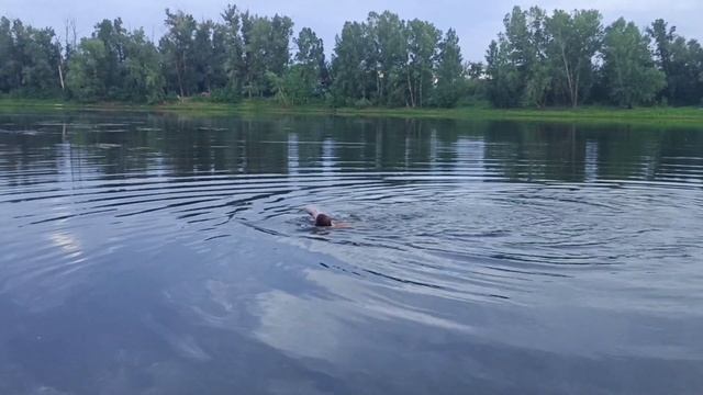 Вечернее купание в холодной воде перед сном смотреть онлайн