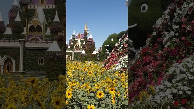Парк цветов в Дубае (Dubai Miracle Garden)2020