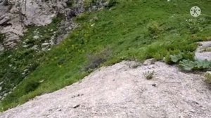 Tajikistan.Нуробод.2019г.