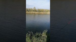 Кумженский водоём, пробуем рыбачить.