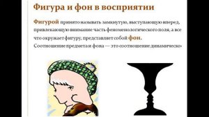 10. Восприятие, его виды и свойства  Теории восприятия. ГОСЫ по психологии. Общая психология