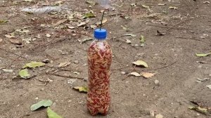 Задача горения 1000 спичек в пластиковых бутылках