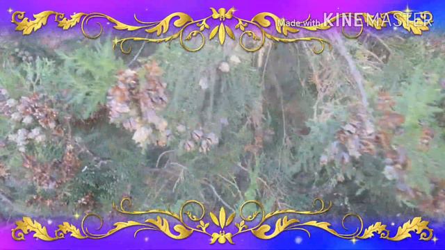 Живая открытка осени. смотреть онлайн