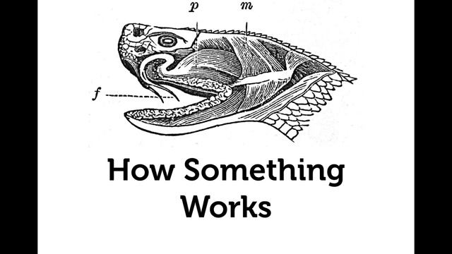 Write an Excellent Programming Blog