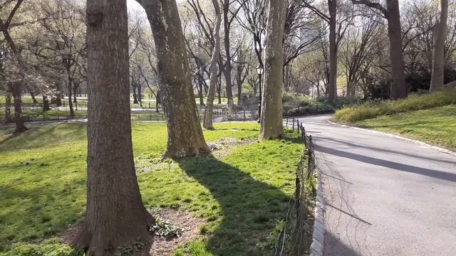 Прогулка по Центральному парку . Манхэттен .Нью Йорк. 08.04.2020