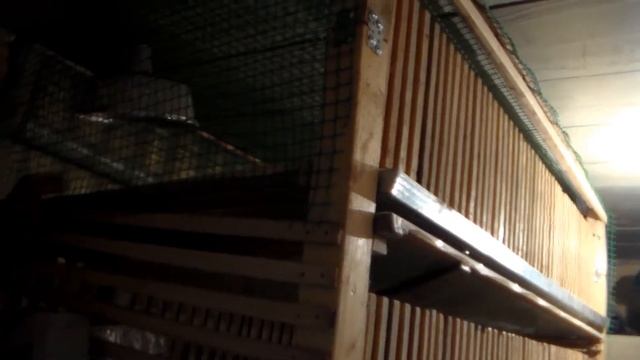 Клетка для цыплят и перепела смотреть онлайн