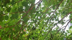 Открытие сухопутных границ Азербайджана с Россией 1 июля 2023 года