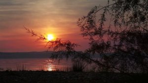 Один день в феврале стрижка поменяет вашу судьбу | Тайна Жрицы