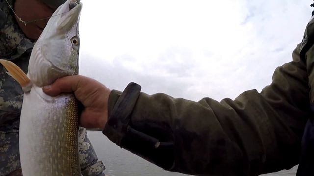 Рыбалка в Казахстане. Спиннинг с лодок. Big River Battle #2
