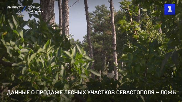 Данные о продаже лесных участков Севастополя – ложь