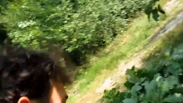 Как мужчины в лес ходили ))) Веники своими руками))) смотреть онлайн