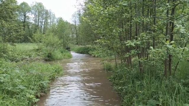спицинская купель