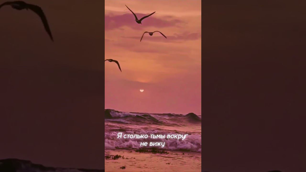#youtubeshorts #музыка #youtubeshortsmusic #чайки #море #закат #лирикадлядуши  #рэплирика #рэп