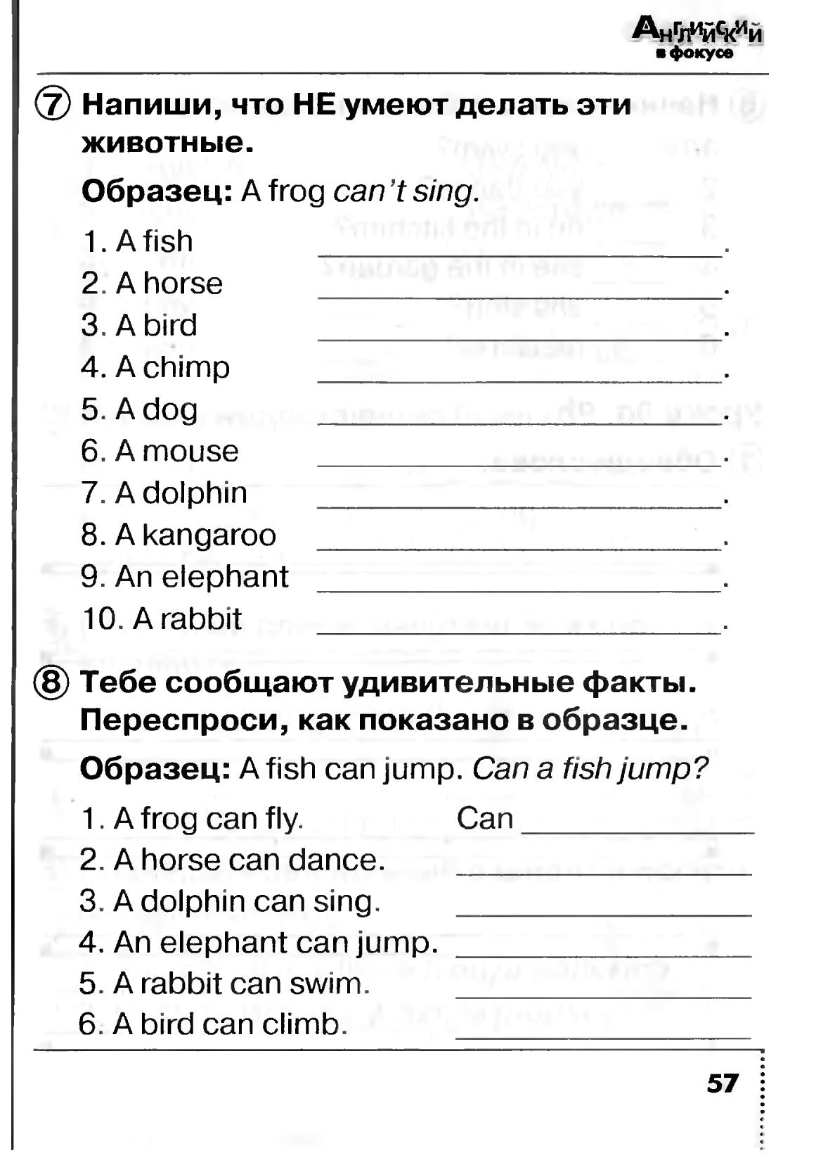 Английский сборник 4 класс стр 57. Напиши что умеют делать животные. Английский в фокусе 2 класс задания. Напиши что умеют делать животные английский. Напиши что умеют делать животные английский 2 класс.