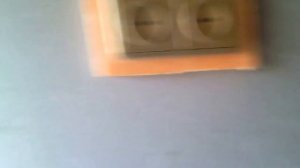 помещение для перепелов