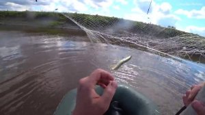 1.5 КИЛОГРАММОВЫЕ КАРАСИ на ПАУК в закоряженной реке Рыбалка на ПАУК ПОДЪЕМНИК 2021!