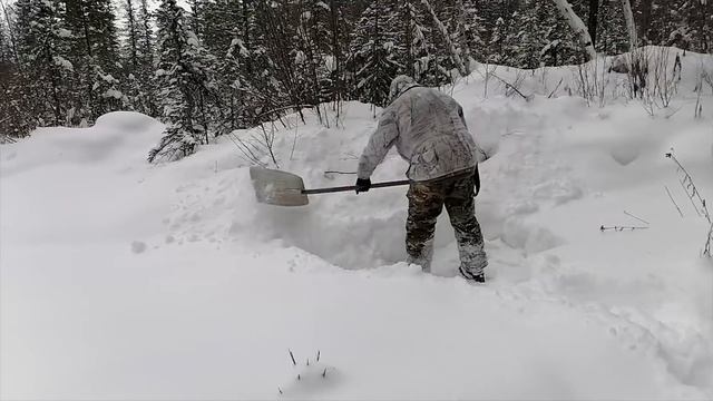 ДОБЫЛИ СОБОЛЕЙ| УДАЧА С НАМИ|