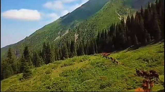 Природная красота