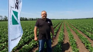 Глобал, ВР - защитит от сорняков посевы сои и подсолнечника