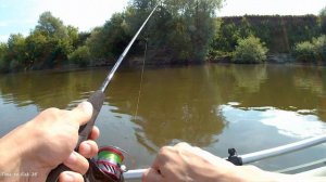 рыбалка на карася  река дон