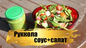 Руккола. Вкуснейший соус за 5 мин. Салат из рукколы.