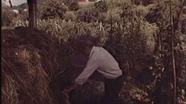 Valeu Valeu nu turna..avi смотреть онлайн