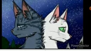котовы воителей бродягу полюбила песня про них