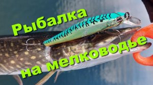 Рыбалка на мелководье. Рыбалка на заливах реки Ангары.