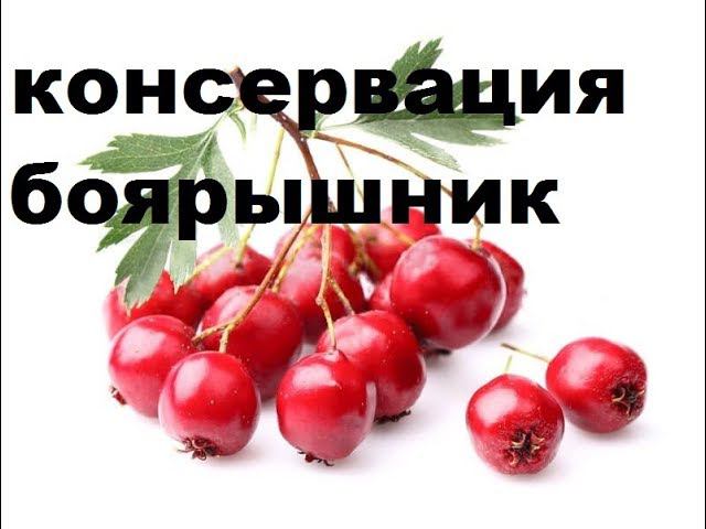 ЧТО ПРИГОТОВИТЬ ИЗ БОЯРЫШНИКА? консервация из БОЯРЫШНИКА