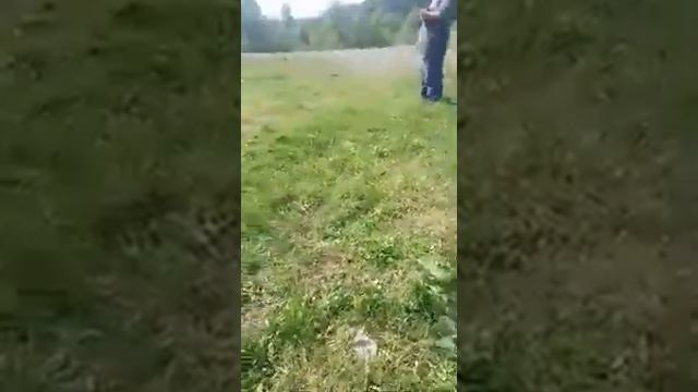 Кондома рулит смотреть онлайн