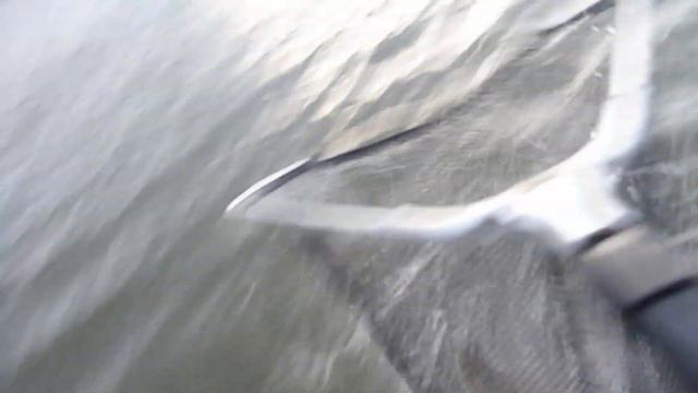 Рыбалка в Казахстане смотреть онлайн