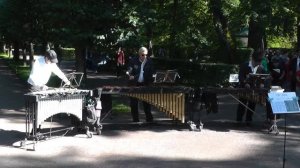 Игра на ударных клавишных инструментах. Петергоф.Нижний парк. Музыканты.Виброфон, Маримба,Ксилофон