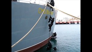 Шест-лестница 1