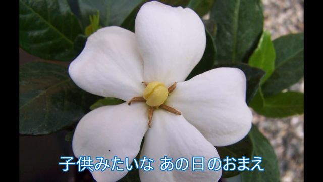 くちなしの花 ～ ウクレレで昭和の唄を смотреть онлайн