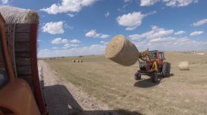 Big day moving hay!