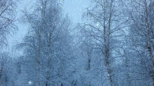 Футаж Зимний пейзаж 8