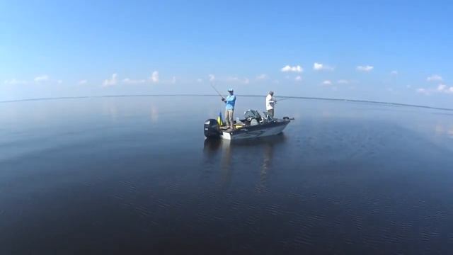 Нестандартные джиговые приманки YUM и LAKE FORK Ловля судака летом на водохранилище смотреть онлайн