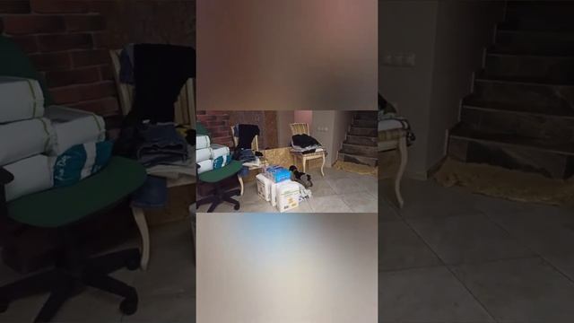 щенки Евы 1 месяц. Дратхаар смотреть онлайн