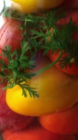 Очень вкусные консервированные ТОМАТЫ с МОРКОВНОЙ БОТВОЙ!