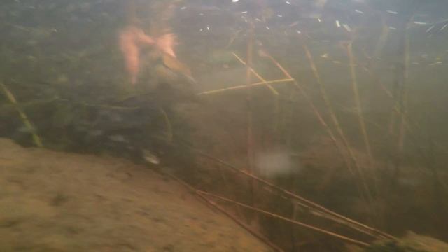 Щучий Vlog Vol. 5 Рыбалка в Финляндии. Щучье Эльдорадо. Часть 2 смотреть онлайн