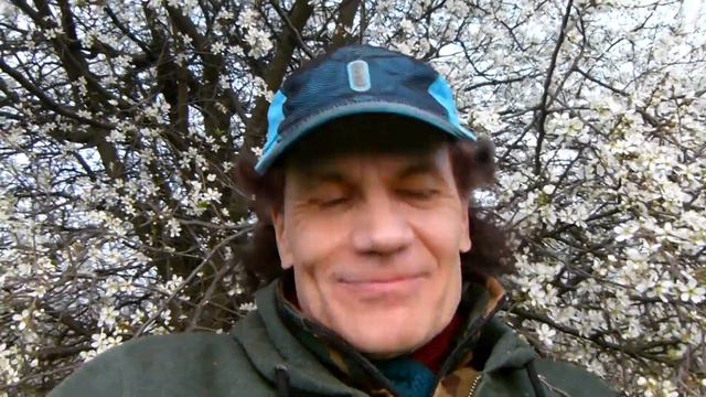 Владимир Швецов - "Копчик и воробьи" смотреть онлайн