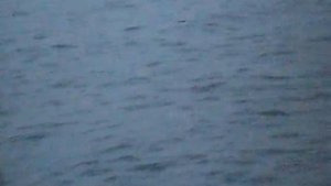 Летний Наволок. Высадка - 2