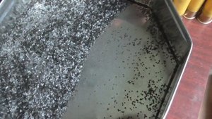 Заряжаю патроны на порохе "чёрный Сокол"